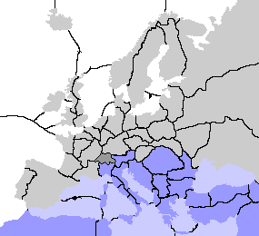Position 4