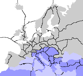 Position 6