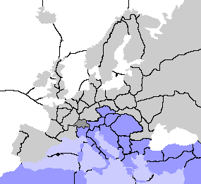 Position 7
