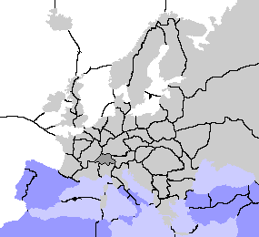 Position 2