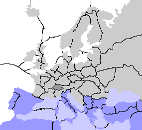 Position 3