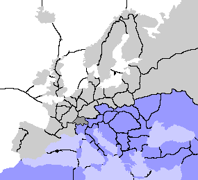 Position 1
