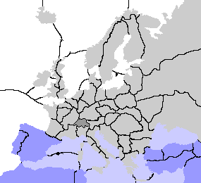 Position 1