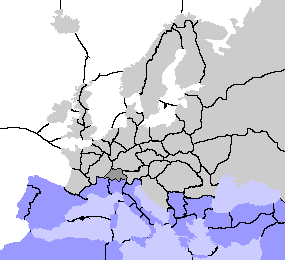 Position 4