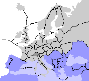Reif's Position