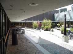 Courtyard & BBQ Area