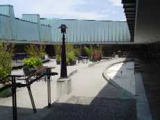 Courtyard & BBQ Area